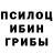 Галлюциногенные грибы Psilocybe grenal TV