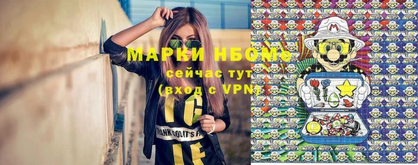 тгк Гусь-Хрустальный