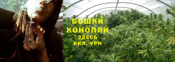 гашик Гусиноозёрск