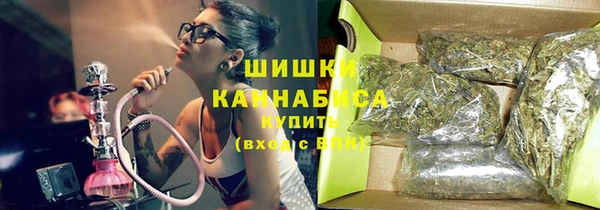 тгк Гусь-Хрустальный
